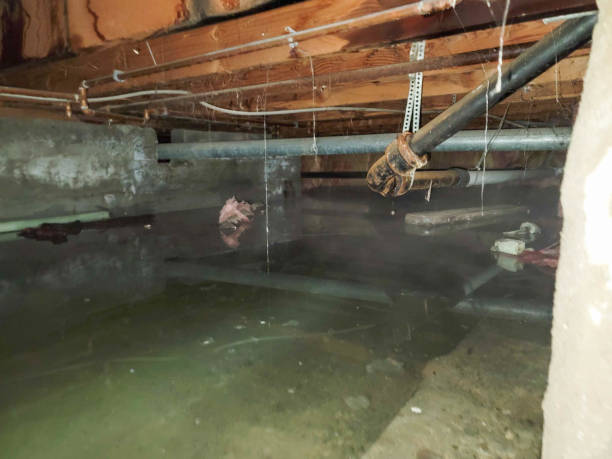 Best Commercial water damage restoration  in Brillion, WI