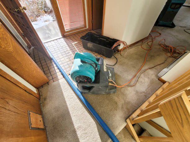 Best Water damage restoration near me  in Brillion, WI