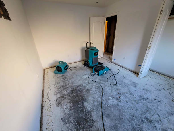 Best Water damage restoration specialists  in Brillion, WI