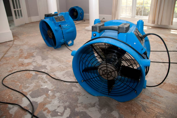 Professional Water damage restoration in WI