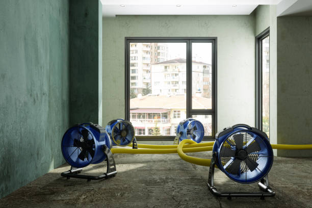 Best Basement water damage restoration  in Brillion, WI